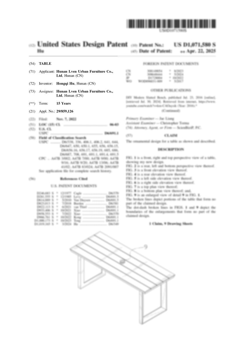 United States design patent